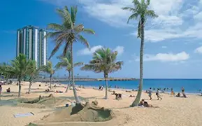 Imagen de Arrecife