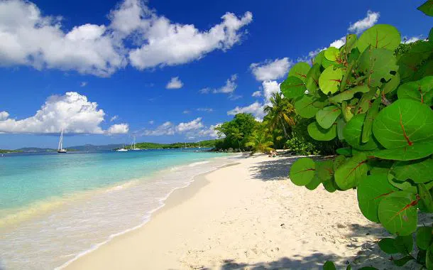 St. John